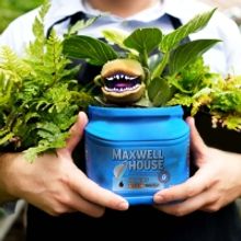 LITTLE SHOP OF HORRORS Comes to Stagecrafters