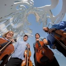 MusicaNova Orchestra Performs CONTRASTS FOR STRINGS, March 5