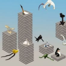 THE URBAN BIRDER Comes to Wroclawski Teatr Wspolczesny Next Month