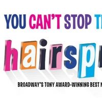 HAIRSPRAY in Grand Rapids Reschedules Opening Night