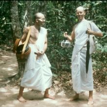 WHAT THE BUDDHA NEVER TAUGHT Comes to the Jericho Arts Centre Next Month