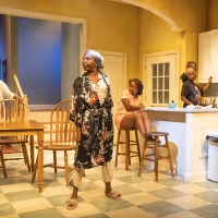 Photos: First Look at Shattered Globe Theatre's STEW at Theater Wit