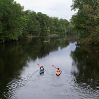 American River, New Documentary By Scott Morris, At The Mayo Performing Arts Center