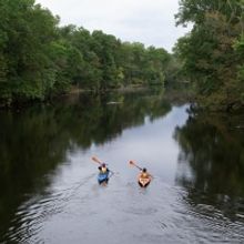 American River, New Documentary By Scott Morris, At The Mayo Performing Arts Center