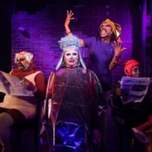 Photos: First Look at DOG SHOW at The Pleasance