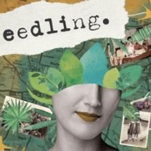 Audio Installation SEEDLING Explores Motherhood And Environmental Responsibility in N