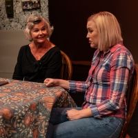 Photos: First look at Original Productions Theatre's An Evening with Lauren Wilkens: Motherload and Skinny