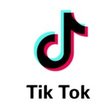 BWW Blog: TikTok and the Theatre World