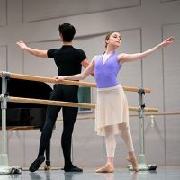 Dutch National Ballet Launches New Series Of Online Ballet Classes On World Ballet…