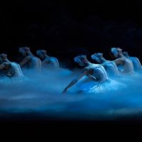 Boston Ballet Presents Mikko Nissinen's SWAN LAKE Next Month Interview