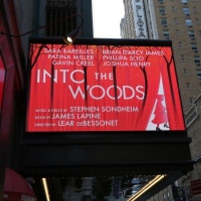 Up on the Marquee: INTO THE WOODS