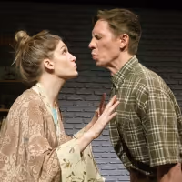 DANCING LESSONS Announced At The Public Theatre