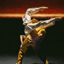 Nine Cultural Institutions Start 'Nalaten aan cultuur'