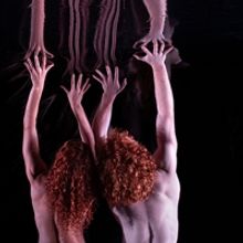 Dancenorth's RED Will Make QPAC Debut