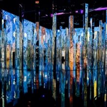 Photo Flash: First Look at IMMERSIVE VAN GOGH at Pier 36
