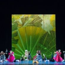 Birmingham Royal Ballet Presents STILL LIFE at The Penguin Cafe