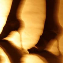 KONTAKTHOF is Now Playing at Opera Nacional de Paris