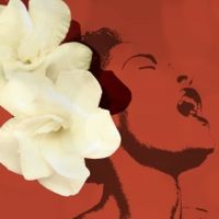 Florida Rep Kicks off 25th Season With LADY DAY AT EMERSON'S BAR AND GRILL