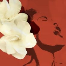 Florida Rep Kicks off 25th Season With LADY DAY AT EMERSON'S BAR AND GRILL