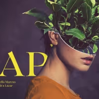 Cast Announced For Soho Theatre Run and UK Tour of SAP