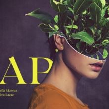 Cast Announced For Soho Theatre Run and UK Tour of SAP