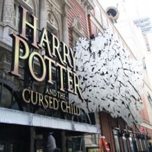 Theater Stories: HARRY POTTER AND THE CURSED CHILD, SPIDER-MAN: TURN OFF THE DARK &…