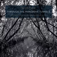 Composer Scott Lee Releases 'Through The Mangrove Tunnels'