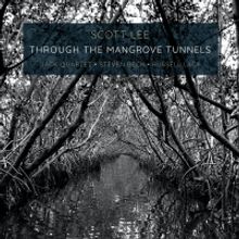 Composer Scott Lee Releases 'Through The Mangrove Tunnels'