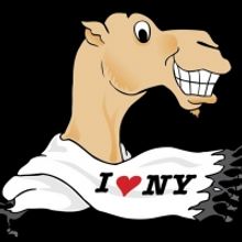 The New York Arab-American Comedy Festival Celebrates 17th Anniversary Virtually!