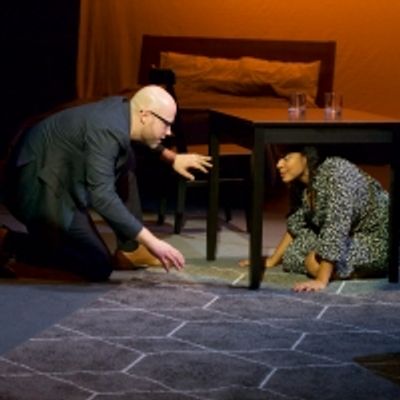 Photo Flash: The Drama League Presents APPEARANCES and THE LOVER as Part of DirectorFest