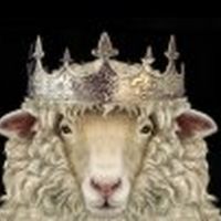 Orpheus|PDX Announces Works By Mozart And Nico Muhly Its Second Season