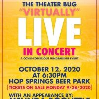 The Theater Bug Presents 'VIRTUALLY' LIVE IN CONCERT