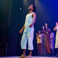 Photos: The Cast of LIFE OF PI Takes Their Opening Night Bows