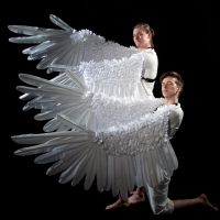 Photo Flash: Outcry Theatre Brings DREAMS OF ICARUS To The Addison Theatre Centre's…
