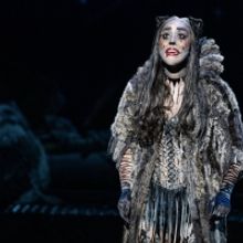 Photos: North American Tour of CATS Comes to Portland's Keller Auditorium