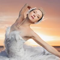The National Ballet of Canada 2021/22 Season Roster Announced Interview