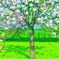 The Art Institute Of Chicago Presents 'David Hockney: The Arrival Of Spring…