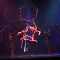 LEGALLY BLONDE, FIDDLER ON THE ROOF And More On Sale At The Buddy Holly Hall…
