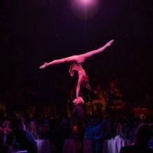 Acrobatic Duo Added To Teatro ZinZanni's Cast of COMING HOME