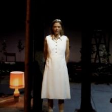 National Theatret Presents THE WILD DUCK