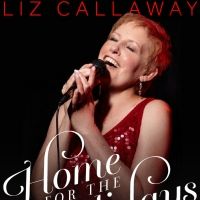 White Plains Performing Arts Center Presents a Virtual Concert With Liz Callaway