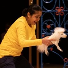 Photos: First Look at MAANIKA AND THE WOLF at the Polka Theatre