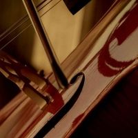 Sydney Opera House Announces 2021 Utzon Music Season Interview