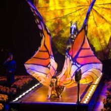Cirque du Soleil Presents LUZIA in Zurich in September