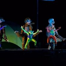 NIGHT FALL Will Return For a 10th Anniversary Production in Hartford's Keney Park Thi