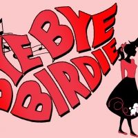 Hollister High School Theatre Department Presents BYE BYE BIRDIE