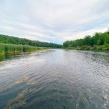 Staller Center's Paul W. Zuccaire Gallery Announces an Afternoon at The Zuccaire Gall