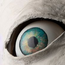 Santa Fe Symphony and Meow Wolf Team Up For Virtual Concert