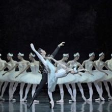 New National Theatre Presents SWAN LAKE in June