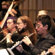 MusicaNova Orchestra Performs Springtime With Haydn For Palm Sunday, April 10